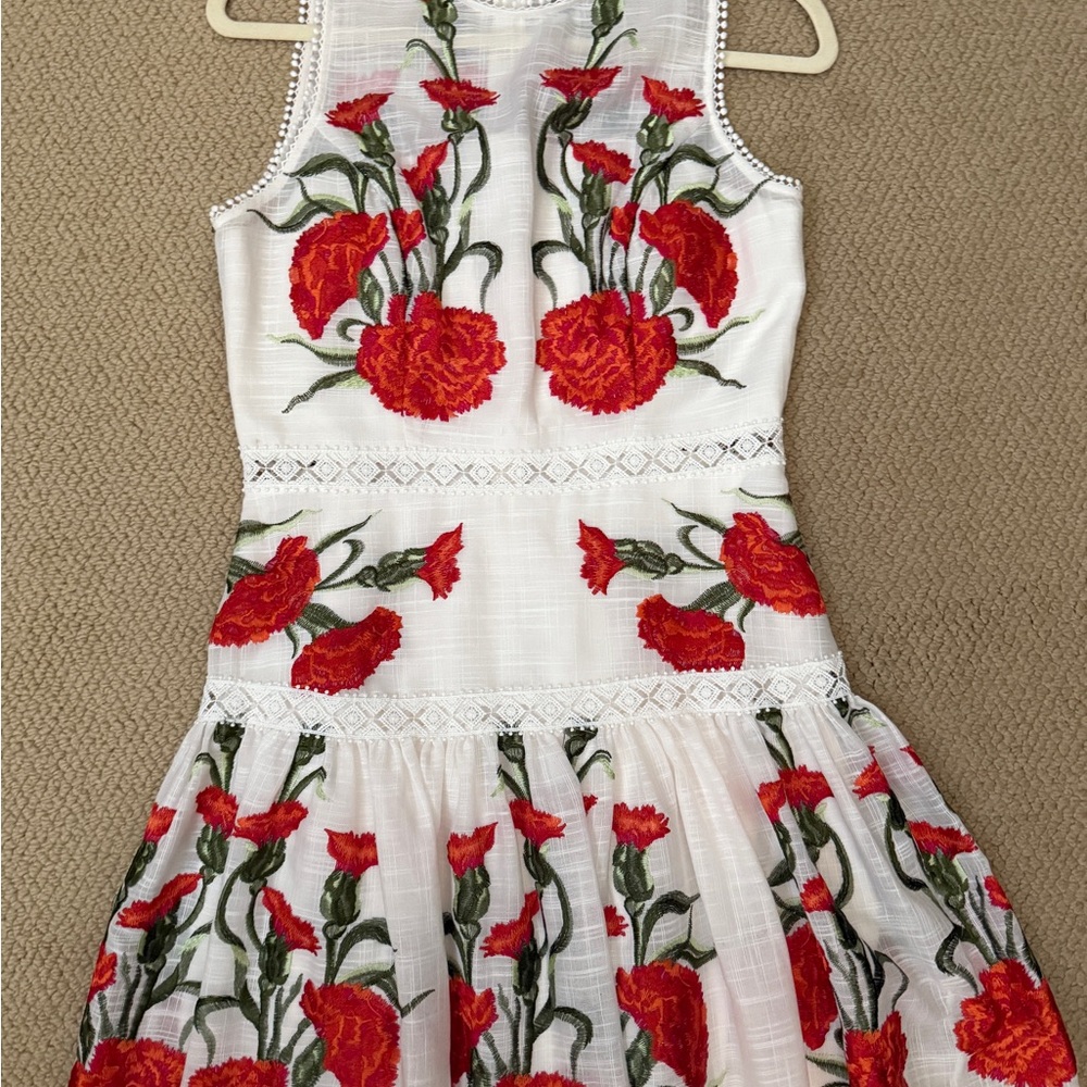 Alexis Floral Embroidered Sleeveless Dress Size M in great condition. - Picture 3 of 5